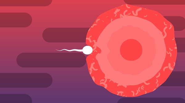 女性不孕,女性不孕原因