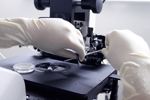 試管嬰兒,試管過(guò)程,試管嬰兒步驟